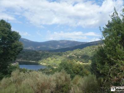 Pino de la Cadena (Valle de Siete Picos, Sierra de Guadarrama); excursiones para cruceros mapa de co